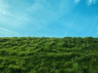 ブラームス野の寂寥のイメージ画像、青い空と緑の草原